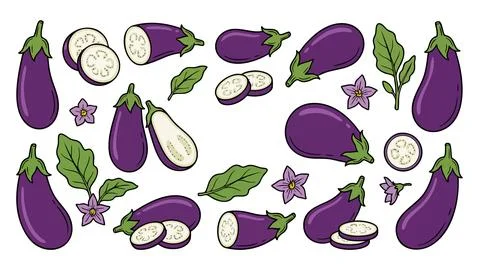 Eggplant Vegetable Vector Collection with Slices Leaves and Flowers Stock Illustration