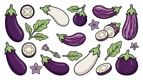 Eggplant Vegetable Vector Set with Slices Leaves and Flowers Stock Illustration