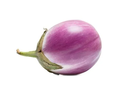 Eggplant vegetable on white background Stock Photos