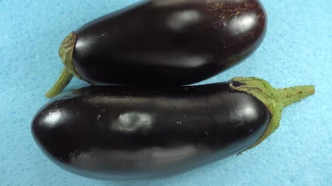 Eggplant vegetables rotate in 4K Stock Footage 154159369