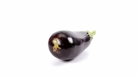Eggplant on white background Stock Footage 220665409
