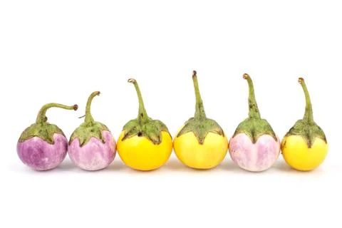 Eggplant on white background Stock Photos