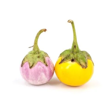 Eggplant on white background Stock Photos