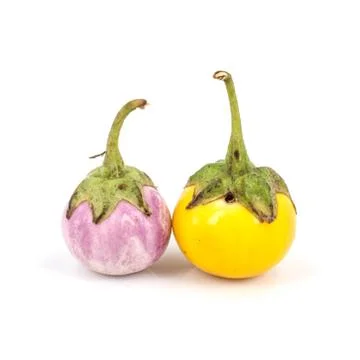 Eggplant on white background Stock Photos