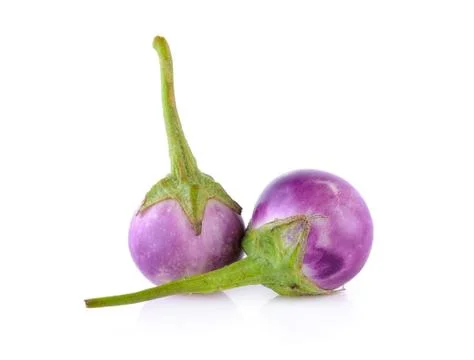 Eggplant on white background Stock Photos