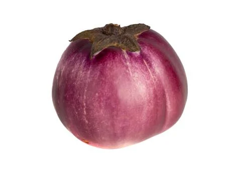 Eggplant on a white background Stock Photos