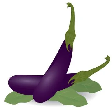 Eggplant on white background vector design Stock Illustration