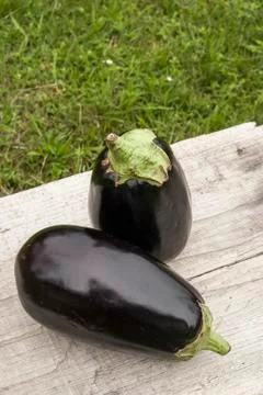 Eggplants and zucchini Foto stock