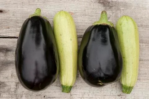 Eggplants and zucchini Stock Photos