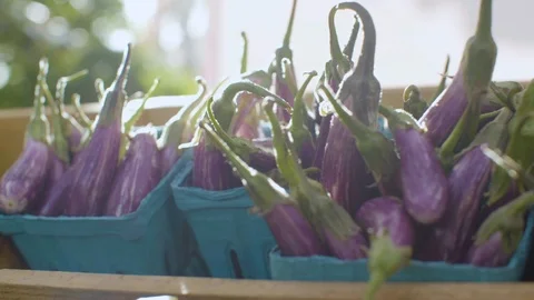 Eggplants arrange in vegetable display crate Stock Footage 87808607
