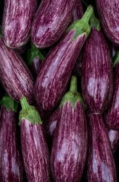 Eggplants closeup. Stock Photos