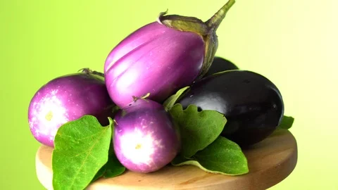 Eggplants on the green background Stock-Footage 113861323