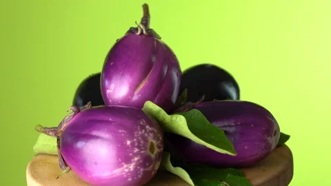 Eggplants on the green background Stock-Footage 113861361