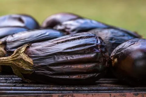 Eggplants on grill Foto stock