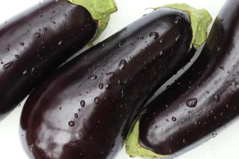 Eggplants Photos