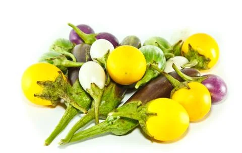 Eggplants Stock Photos
