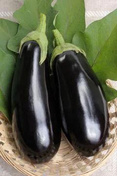 Eggplants. Stock Photos