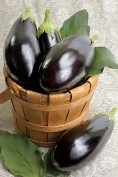 Eggplants. Foto stock