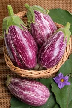 Eggplants. Stock Photos