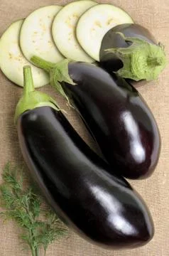 Eggplants. Stock Photos