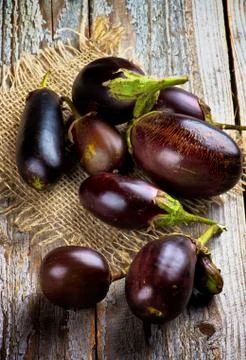 Eggplants Stock Photos