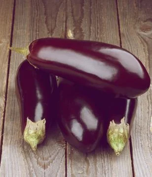Eggplants Stock Photos