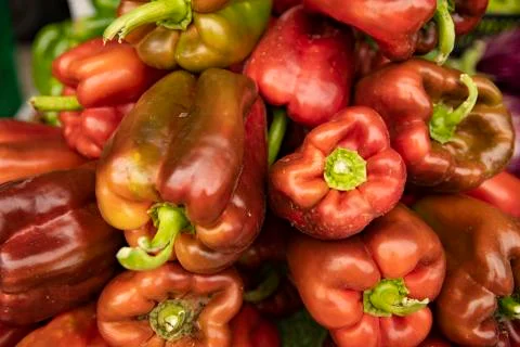 Eggplants Foto stock