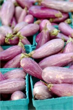 Eggplants Stock Photos