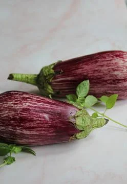 Eggplants Stock Photos