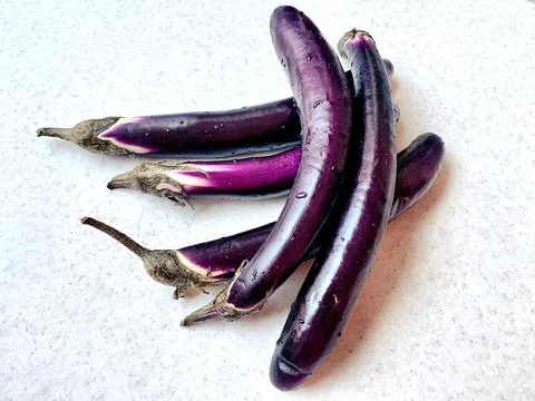 Eggplants Stock Photos