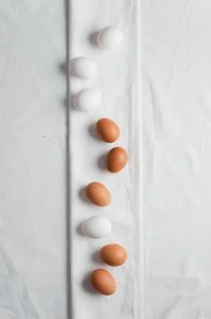 Eggs aligned in a row Stock Photos