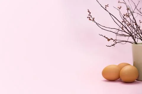 Eggs and branch. Simple empty Easter background Stock Photos