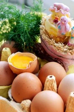 Eggs and chickens Stock Photos