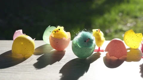 Eggs and chicks in spring Stock Footage 149882101