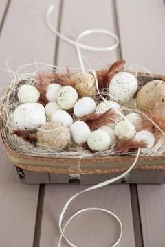 Eggs and feathers Stock Photos