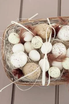 Eggs and feathers Stock Photos