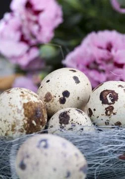 Eggs and other elements for Easter Stock Photos