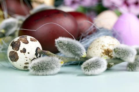Eggs and other elements for Easter Stock Photos