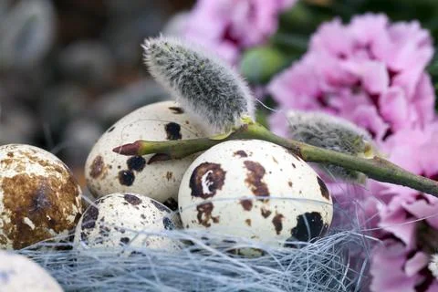 Eggs and other elements for Easter Stock Photos