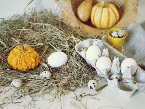 Eggs and quail eggs in a package, pumpkins ,  hay, Easter concept Stock Photos