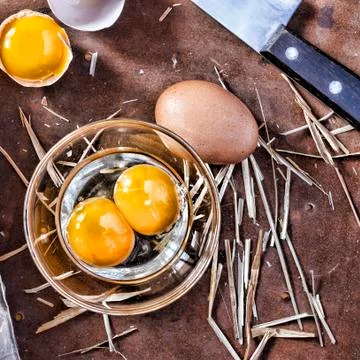 Eggs and a shell on the farm Photos