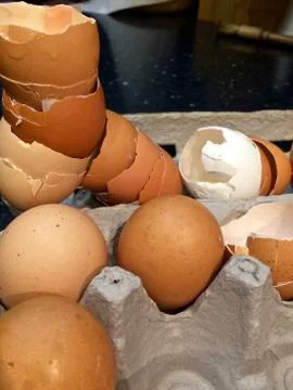 Eggs and shells in cardboard egg container Stock Photos