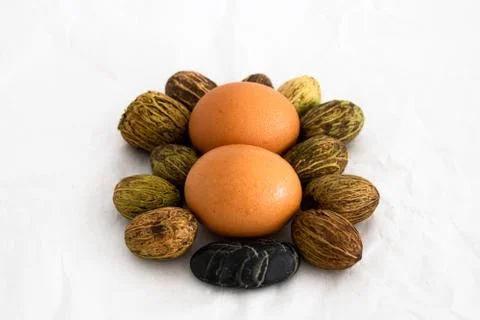 Eggs and Stone Background Stock Photos