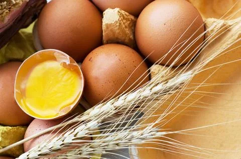 Eggs and wheat Stock Photos