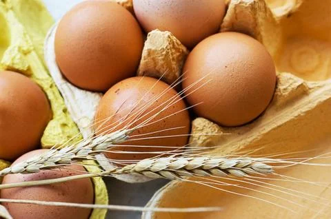 Eggs and wheat Stock Photos
