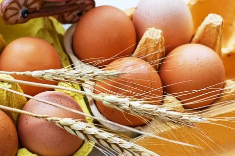 Eggs and wheat Stock Photos