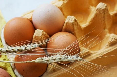 Eggs and wheat Stock Photos