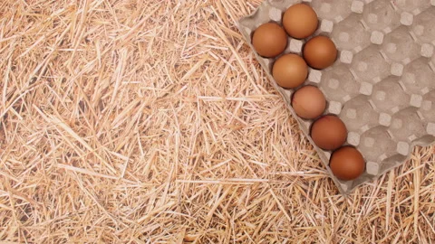 Eggs appear in box for eggs on straw theme. Stop motion Stock Footage 149325262