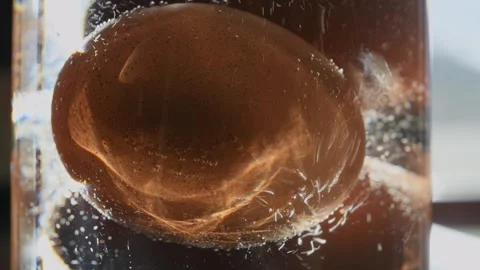 The eggs are boiled in a glass container. Stock Footage 325910622