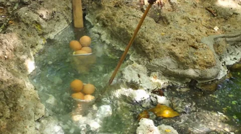 Eggs that are boiled in a hot spring Stock Footage 39363155